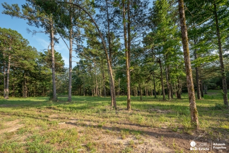 Vacation Rentals for sale in Arkansas. - image 24
