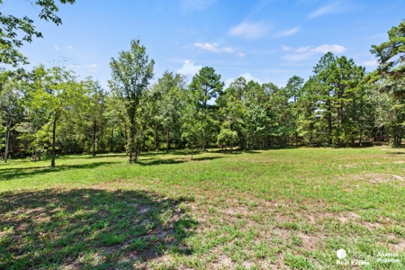 Vacation Rentals for sale in Arkansas. - image 20