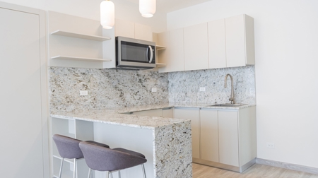 Arcadia del Este Project - Costa del Este - Panama City - image 2