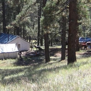 Southern CO Outfitting Business for Sale(NO DEEDED PROPERTY) - image 25
