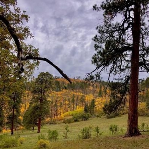 Southern CO Outfitting Business for Sale(NO DEEDED PROPERTY) - image 15