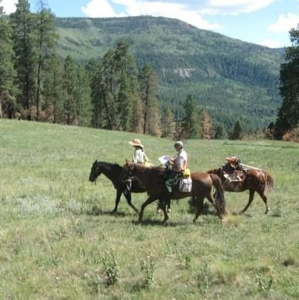 Southern CO Outfitting Business for Sale(NO DEEDED PROPERTY) - image 27