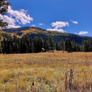 Southern CO Outfitting Business for Sale(NO DEEDED PROPERTY) - image 18