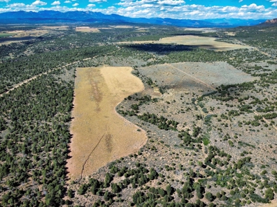 Expansive Secluded Acreage Just Minutes from Durango, CO! - image 27