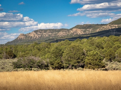 Expansive Secluded Acreage Just Minutes from Durango, CO! - image 4