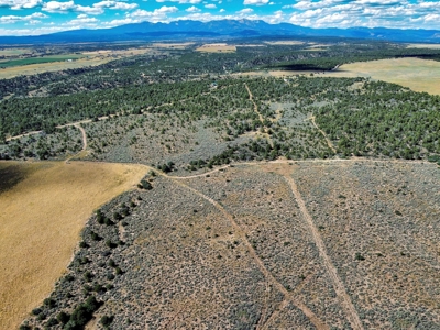 Expansive Secluded Acreage Just Minutes from Durango, CO! - image 23
