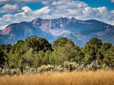 Expansive Secluded Acreage Just Minutes from Durango, CO! - image 9