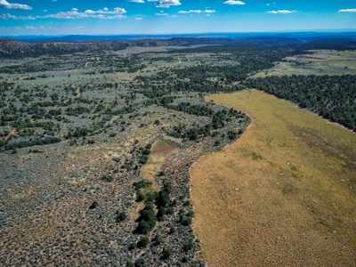 Expansive Secluded Acreage Just Minutes from Durango, CO! - image 17