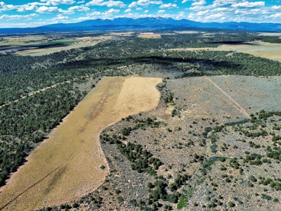 Expansive Secluded Acreage Just Minutes from Durango, CO! - image 25