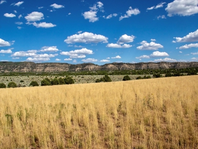 Expansive Secluded Acreage Just Minutes from Durango, CO! - image 5