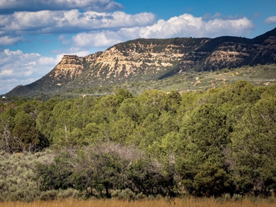 Expansive Secluded Acreage Just Minutes from Durango, CO! - image 13