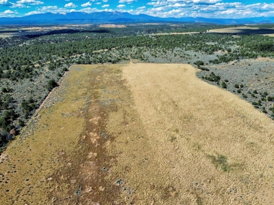 Expansive Secluded Acreage Just Minutes from Durango, CO! - image 28