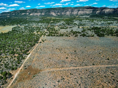 Expansive Secluded Acreage Just Minutes from Durango, CO! - image 15