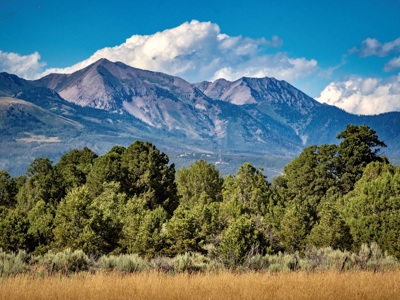 Expansive Secluded Acreage Just Minutes from Durango, CO! - image 12