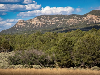 Expansive Secluded Acreage Just Minutes from Durango, CO! - image 3
