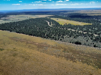 Expansive Secluded Acreage Just Minutes from Durango, CO! - image 18