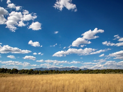 Expansive Secluded Acreage Just Minutes from Durango, CO! - image 7