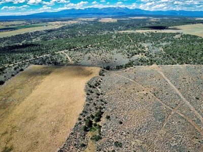 Expansive Secluded Acreage Just Minutes from Durango, CO! - image 24