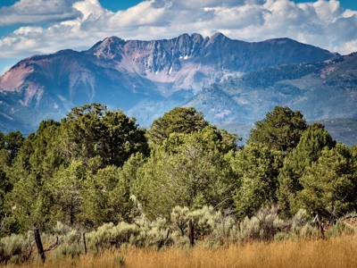 Expansive Secluded Acreage Just Minutes from Durango, CO! - image 10