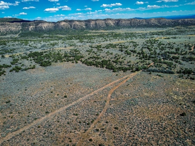 Expansive Secluded Acreage Just Minutes from Durango, CO! - image 16