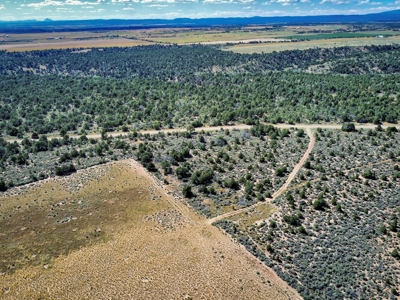 Expansive Secluded Acreage Just Minutes from Durango, CO! - image 19