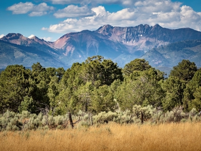 Expansive Secluded Acreage Just Minutes from Durango, CO! - image 11