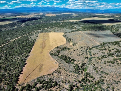 Expansive Secluded Acreage Just Minutes from Durango, CO! - image 26