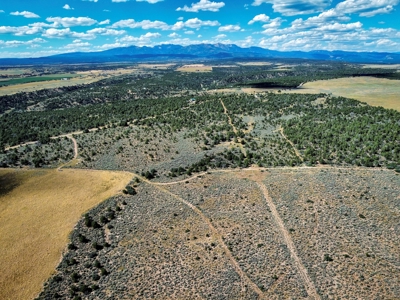 Expansive Secluded Acreage Just Minutes from Durango, CO! - image 22