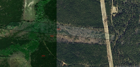 Wooded Acreage Just Outside of Biscoe, NC - image 1