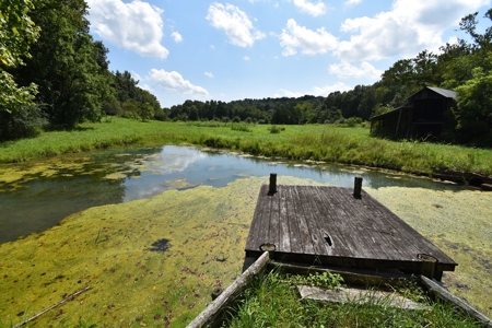 Historic 2 Story home from 1864, with Pond and Rustic Barn - image 11