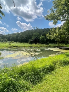Historic 2 Story home from 1864, with Pond and Rustic Barn - image 38