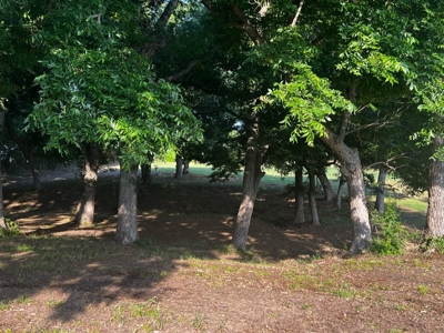 Sherman Texas Land For Sale Grayson County Property - image 9