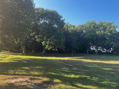 Sherman Texas Land For Sale Grayson County Property - image 7