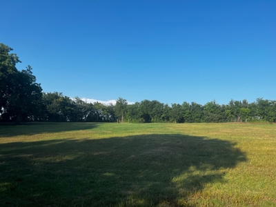 Sherman Texas Land For Sale Grayson County Property - image 6