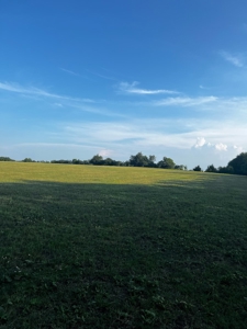 Sherman Texas Land For Sale Grayson County Property - image 3