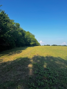 Sherman Texas Land For Sale Grayson County Property - image 5