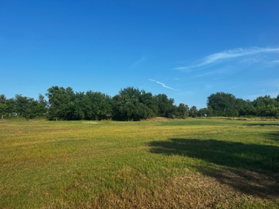 Sherman Texas Land For Sale Grayson County Property - image 8