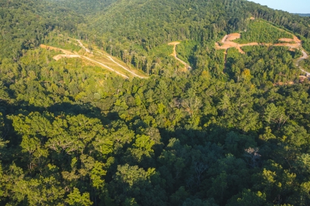 10+/- Acres of Unrestricted Land For Sale in Caldwell County - image 12
