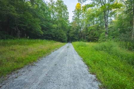 10+/- Acres of Unrestricted Land For Sale in Caldwell County - image 26