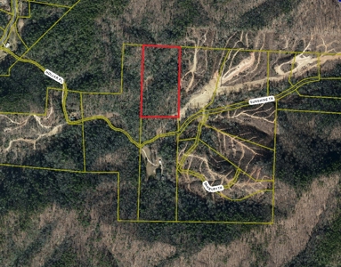 10+/- Acres of Unrestricted Land For Sale in Caldwell County - image 1