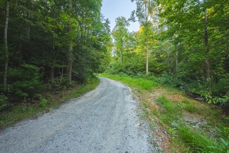 10+/- Acres of Unrestricted Land For Sale in Caldwell County - image 25