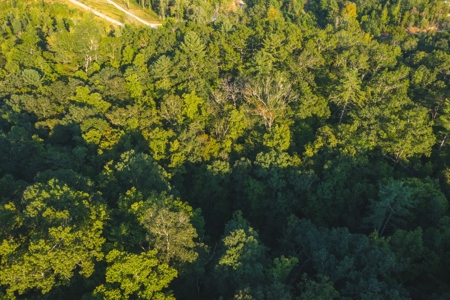 10+/- Acres of Unrestricted Land For Sale in Caldwell County - image 11