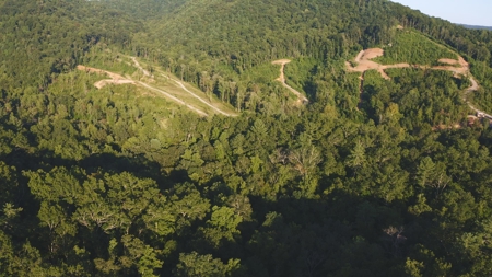 10+/- Acres of Unrestricted Land For Sale in Caldwell County - image 31