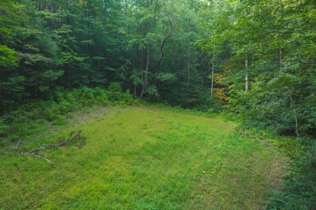 10+/- Acres of Unrestricted Land For Sale in Caldwell County - image 10