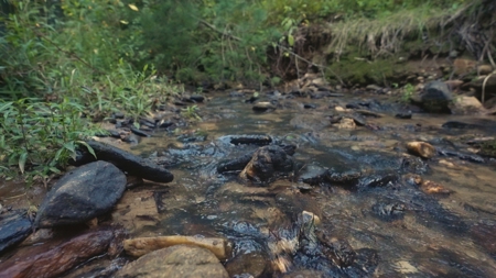 10+/- Acres of Unrestricted Land For Sale in Caldwell County - image 30