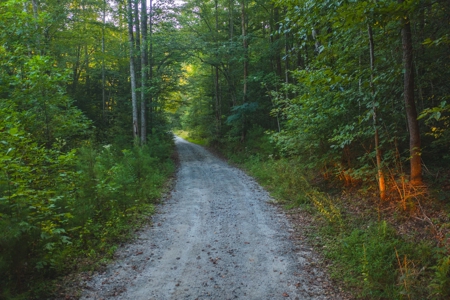 10+/- Acres of Unrestricted Land For Sale in Caldwell County - image 2