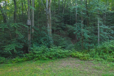 10+/- Acres of Unrestricted Land For Sale in Caldwell County - image 7