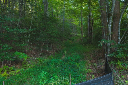 10+/- Acres of Unrestricted Land For Sale in Caldwell County - image 4