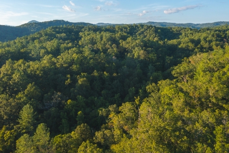 10+/- Acres of Unrestricted Land For Sale in Caldwell County - image 14