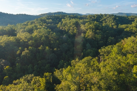 10+/- Acres of Unrestricted Land For Sale in Caldwell County - image 13